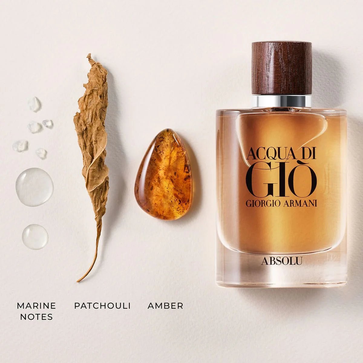 Acqua Di Gio Absolu bottle with scent notes marine patchouli amber