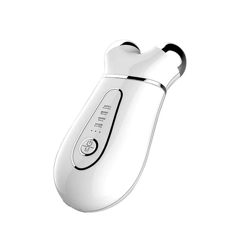 EMS Microcurrent Anti-Aging Facial Massager – USB Rechargeable Microcurrent Face Roller for Skin Tightening