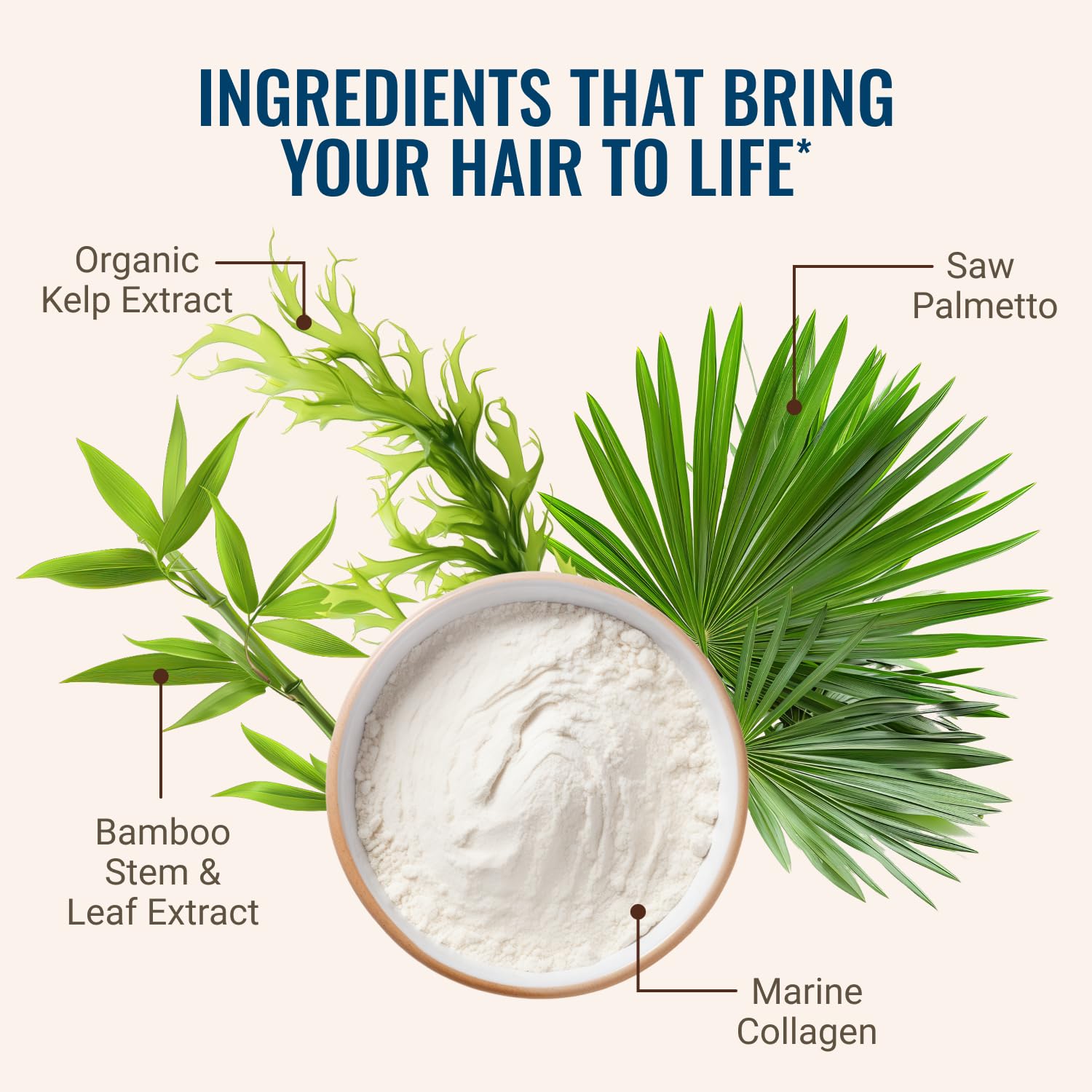 Hair product with labeled ingredients including Organic Kelp Extract, Bamboo Stem & Leaf Extract, Saw Palmetto, and Marine Collagen on a light background.