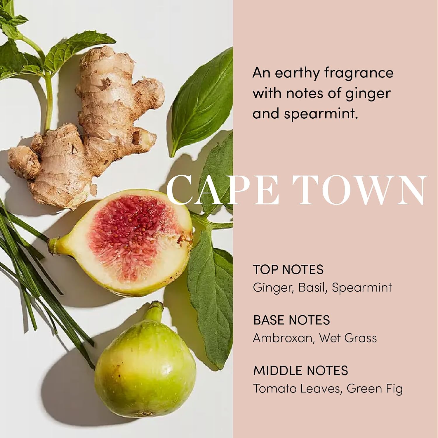 Ginger root, figs, and basil leaves with 'Cape Town' fragrance description on a light background